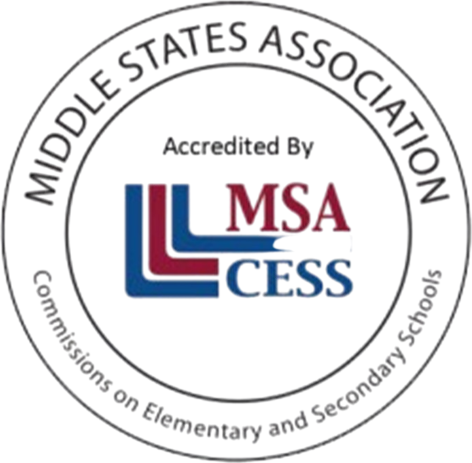 MSA CESS